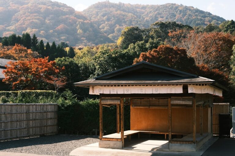 Kyoto Traditional Culture Guide
