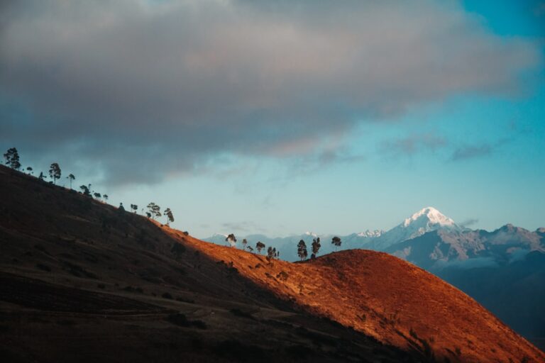 Machu Picchu Dawn Visit Guide Peru