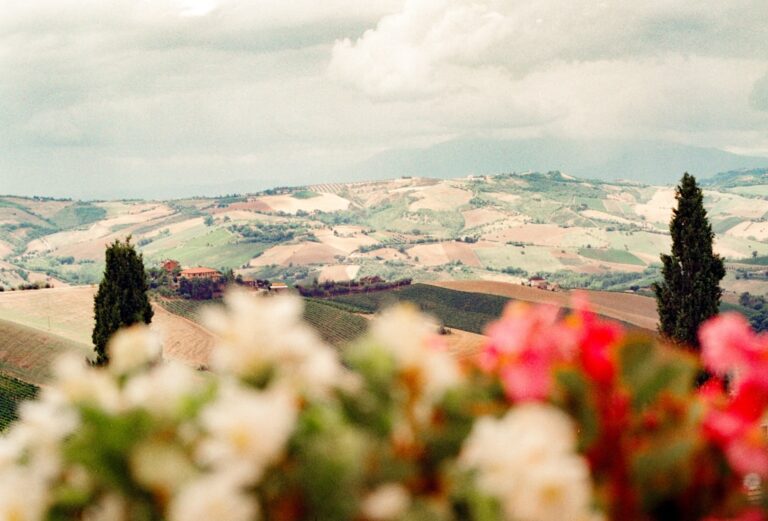 Tuscany Vineyards and Gastronomy Heritage Guide